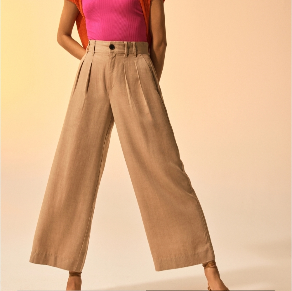 Banana Republic Wide Leg Pleat Pant